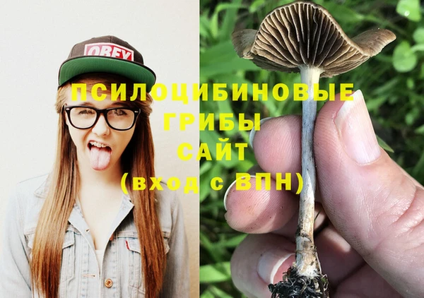 PSILOCYBIN Верхнеуральск